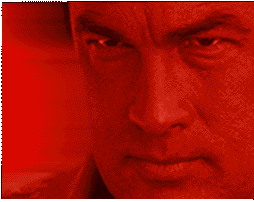 Steven Seagal in Fire Down Below